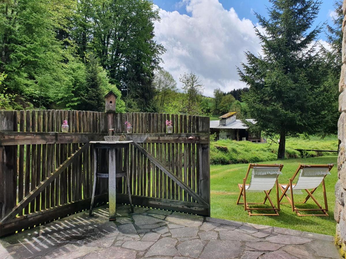 Naturidyll Kollnbergmuehle Furstenstein Exterior photo